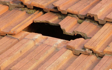 roof repair Cambus, Clackmannanshire