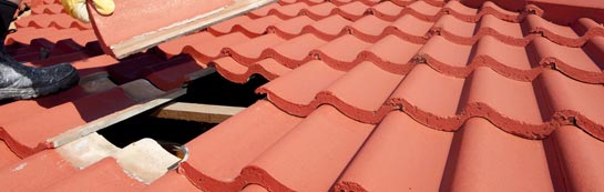 compare Cambus roof repair quotes
