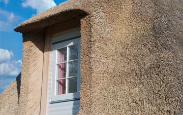 Cambus thatch roof disadvantages